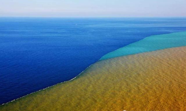 淡水鱼遇到海水就会死，长江黄河都会注入大海，那这些鱼怎么办？