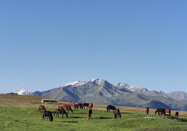 96天、17191公里！我的三个多月新疆自驾游，到底花费了多少？