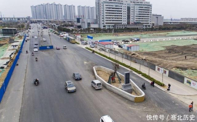 郑州千年古树不简单，因大火沉睡百年再发新芽，政府设特殊保护区