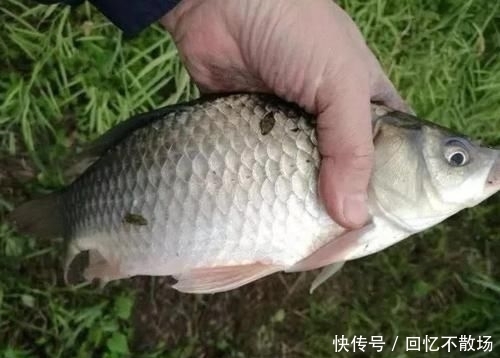 水质:刮什么风最好钓鱼和最难钓鱼?17年的经验,得出了这个结论