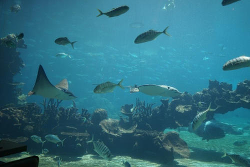 和萌宝的幸福三亚之行