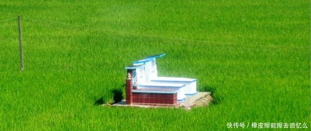 农村土葬改火葬后，与活人争地的坟墓却越来越坚固，这是为何