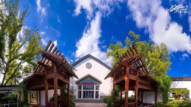 国内最大的专类盆景园，江南园林海派风格美不胜收