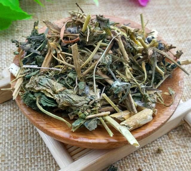 农村一种野草，误当成杂草，药用价值不低估