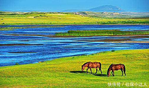  「补缴」单位补缴的社保，需要自己来全额负担合理吗？