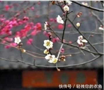  【结出来】今年双春年，俗语“一年两个春，带毛的贵如金”，老话还在理吗？