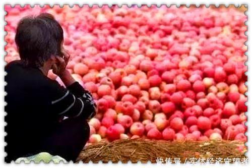  「明年」去年吃不起的苹果，今年滞销果园，明年猪肉会这样吗？