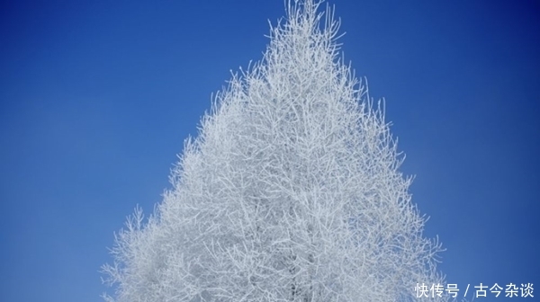 黑龙江大兴安岭出现极寒天气 最低温接近零下40℃