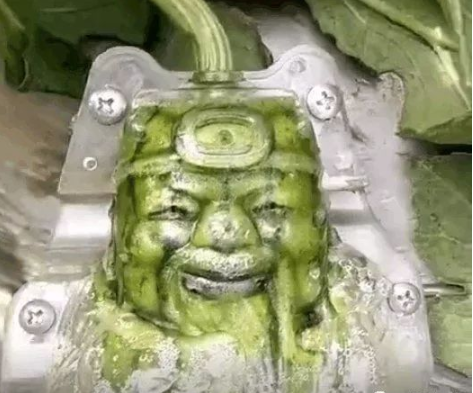  [男子]男子给西瓜穿上“衣服”，被邻居嘲笑，两个月后大家纷纷