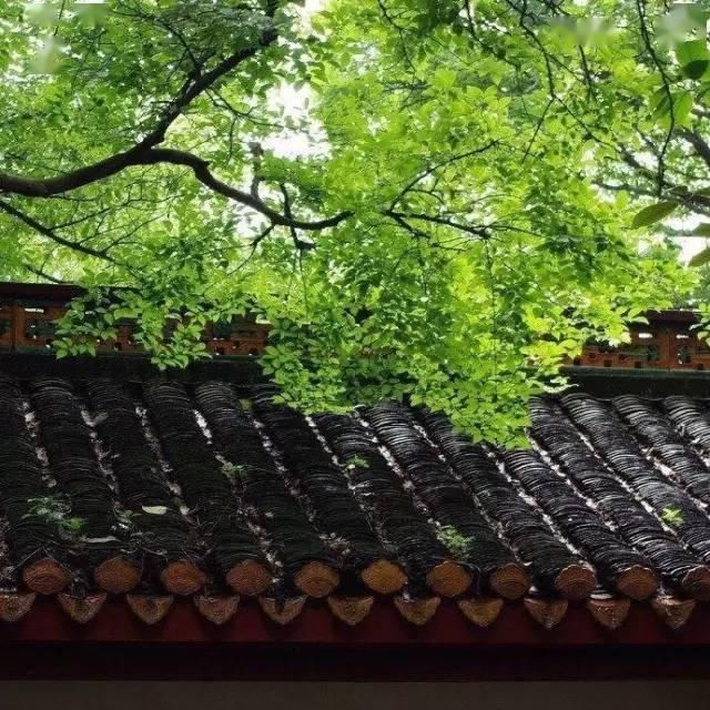  心灵后花园|他是中国历史上最文艺的皇帝，字画双绝，连造的园林都美传千古