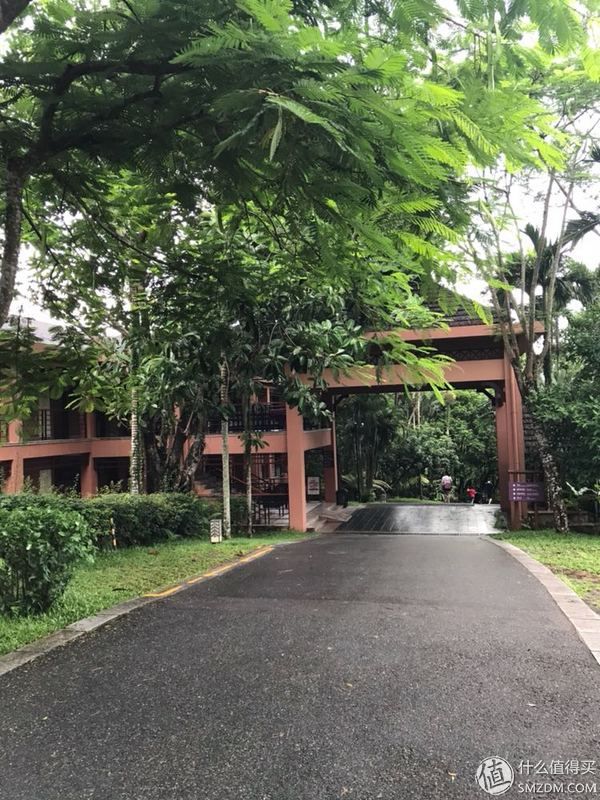 热带雨林慢生活，七仙岭君澜度假酒店入住体验