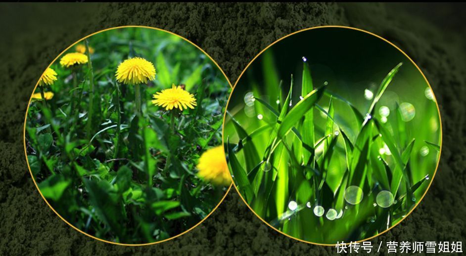 你知道,脸上的“小疙瘩”,挤出来的“白色条状物”,是什么吗?