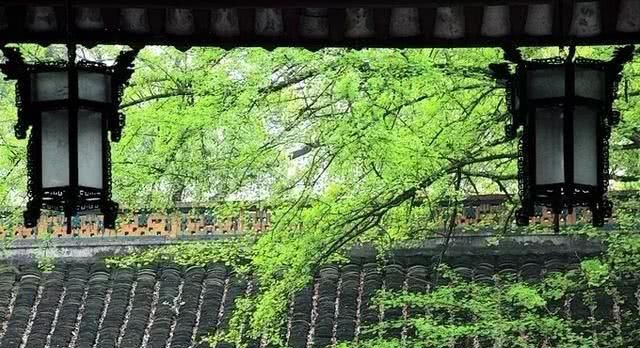 有一种旅行，叫去老街走一走