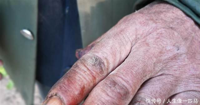 农村老汉用儿子在日本打工挣的70万建8个大棚，为省钱抽烟叶