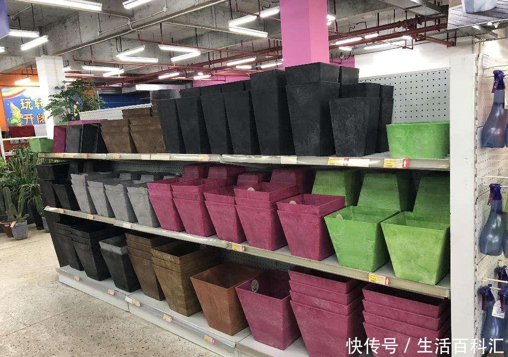  死翘翘：想要养好花，3个方面要注意，不然花都死翘翘