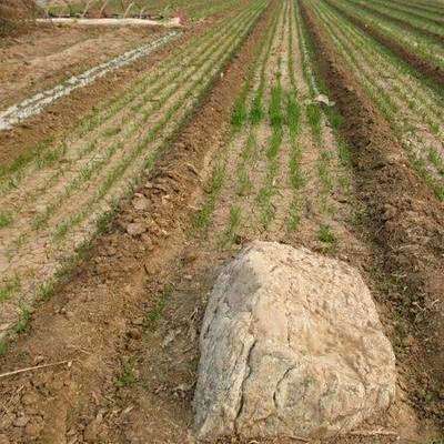 中国最小的山,60厘米高!为何至今无人敢登?