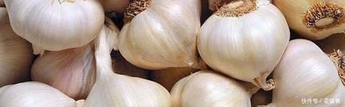  「易懂」廉价又实用的鲤鱼配方，简单易懂制作方便，还能有效避开小杂鱼