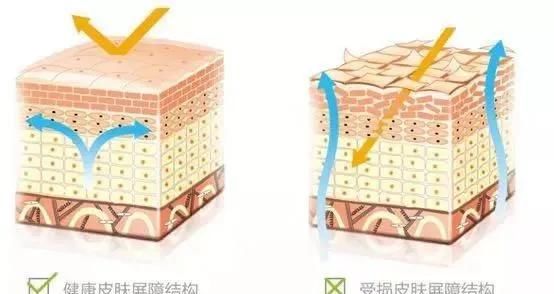  [皮肤屏障受损]击破五大护肤谣言,与错误护肤说再见。
