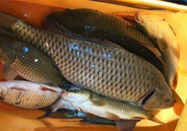  「没弄」调漂到底调几钓几？好多钓鱼人都没弄明白，看这几位弄明白了吗？