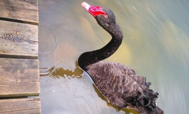 我国四大火炉之首真让人恐惧，这座城市的炎热西安和武汉都比不了