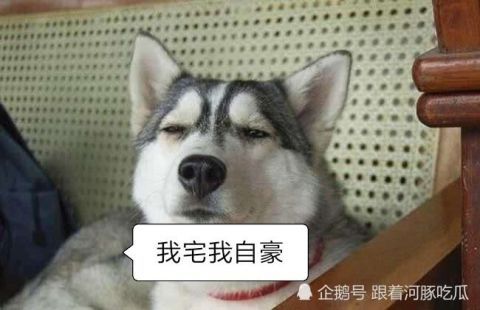 [实至名归]男生帅气等级排名表：肖战上榜，第一第二名实至名归！