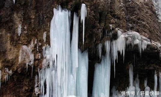 河南大范围的降雪已经到了, 小雪、中雪、大雪, 喜欢的赶紧来吧