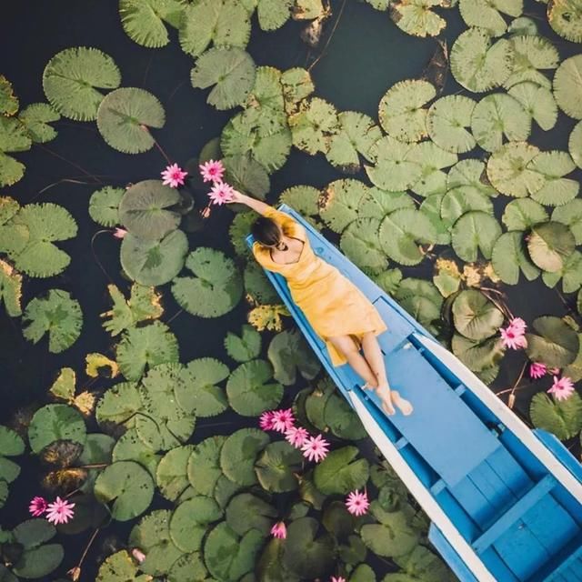 年末再添电子签,12月旅行不要停