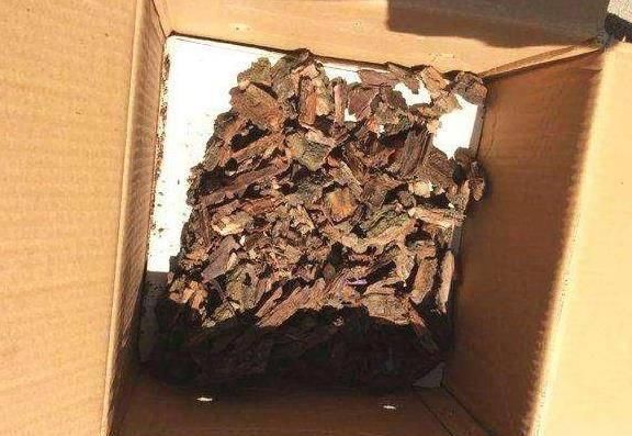 「种料」“1种料”用来养绿萝,1个月“喂一次”,根系“窜得快”,长满盆