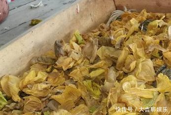 农村人把它当做宝贝，城里人都把它当垃圾，你肯定不知道它能这样