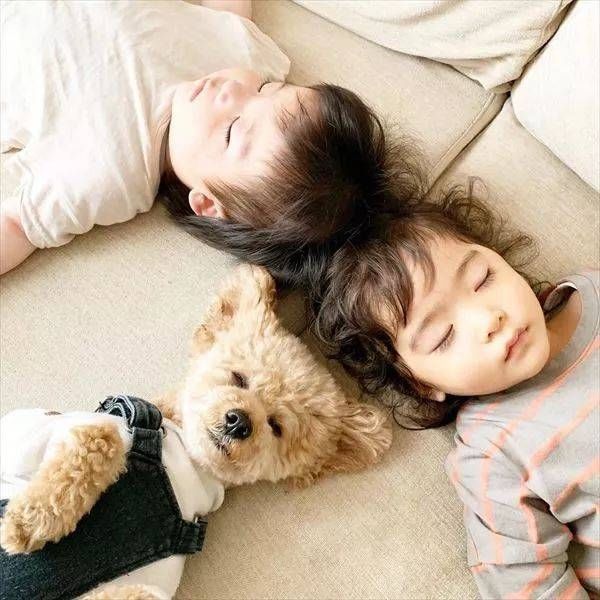  [睡觉]日本小女孩每天和狗狗一起睡觉引千万网友围观这才是晒娃晒宠物的最高境界