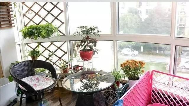  #花架#原来阳台还能这样种花, 一看就像个花园, 太漂亮了!