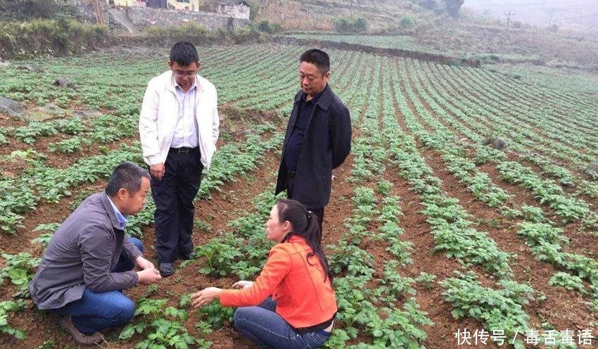  「农村土地」农村土地迎来大规模归并，一户一田不是“一刀切”