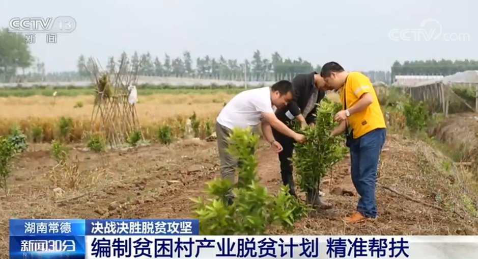  【澧县官垸镇】央视新闻丨湖南常德：村有增收产业 户有致富门路