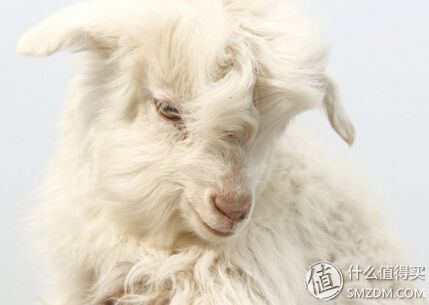 匠心好裤--关于我所知的好裤子推荐