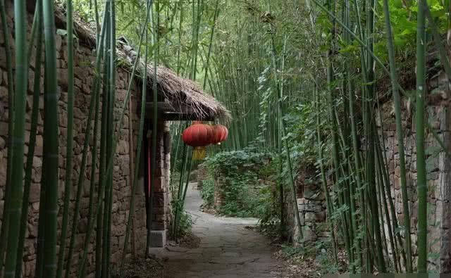 山东有座泉上古村，三百年前有人从安徽带来竹子，如今泛滥成仙境