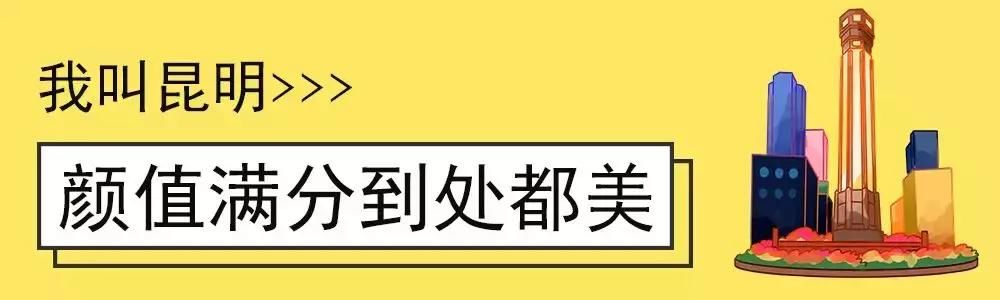 大局已定！2019中国城市发展潜力排名新鲜出炉！昆明位列第28名！