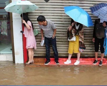 秋雨勤的天气出门记得关门，带上雨伞!不然，你别怪我没有提醒你