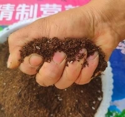  「疏松透气」家中养花，配好土，养份足，几种“小料”掺一掺，扔土里就生根