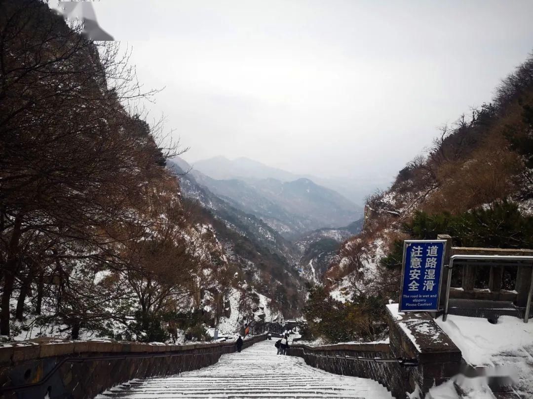  『岱宗』春雪空濛落岱宗，最美人间四月天