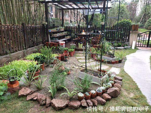 「李小姐还」她将荒芜的后院,改造成最美花园,完工一年后,让人惊艳