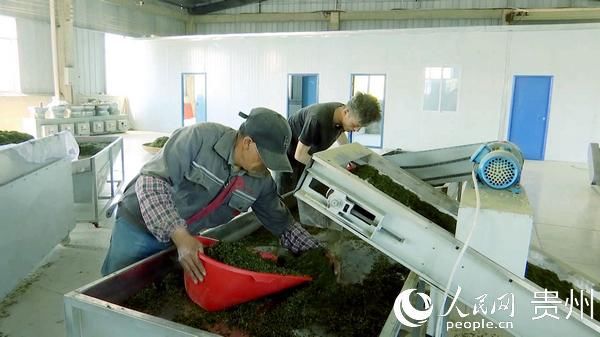 企业用电：贵州印江：电力“保姆”为企业护航