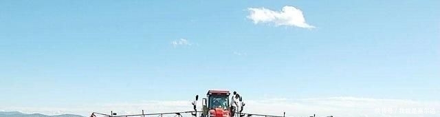  [农业发展]未来的农民该去哪里，以后在农村能干什么