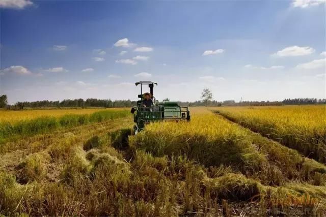 定了！石家庄这个县要成全国示范，祝贺家乡！