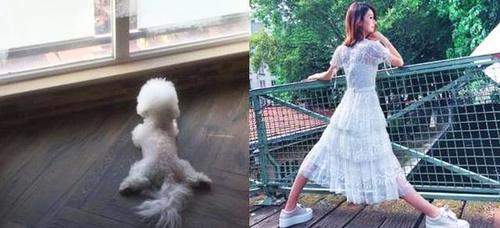 裸眼鉴怀孕？赵丽颖下场，对怀孕传闻进行辟谣：我们给大家劈个叉