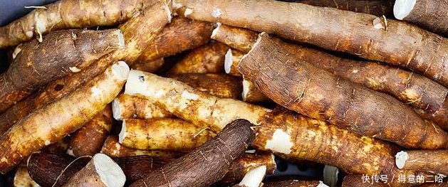 它被称“全球最丰产作物”，为啥种的人少每亩5吨不是问题