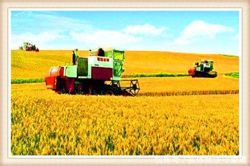  [赚钱]既高大上又赚钱的农村创业项目，这几个真的好，请收藏！