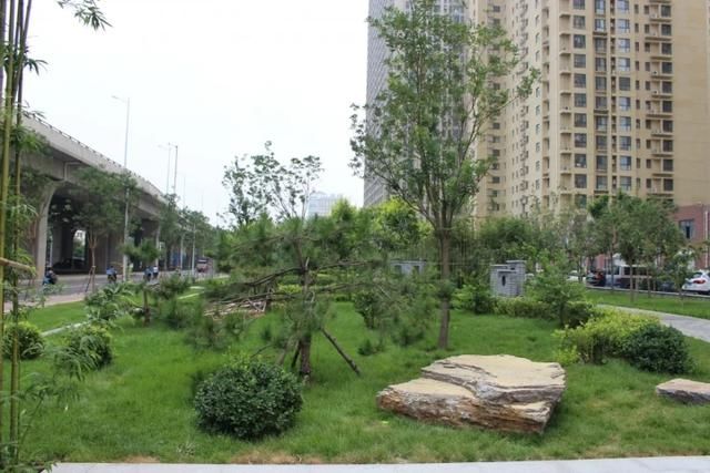  石家庄@石家庄家门口的小园子越来越多、越来越美！