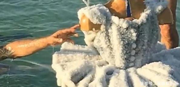 设计师将一件衣服放入死海,2年之后捞上来惊呆众人