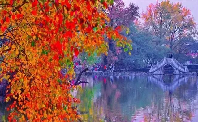 江南最美的10个秋色