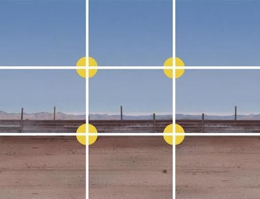 摄影爱好者看过来,小Mounsey决定带你去胡杨林拍片喽